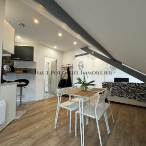 T1+ 20m2 - VENDU DEJA LOUÉ