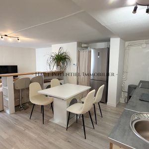 Appartement T2 meublé de 50m2 à ST NICOLAS DE PORT